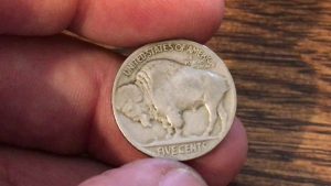 Buffalo Nickel Worth