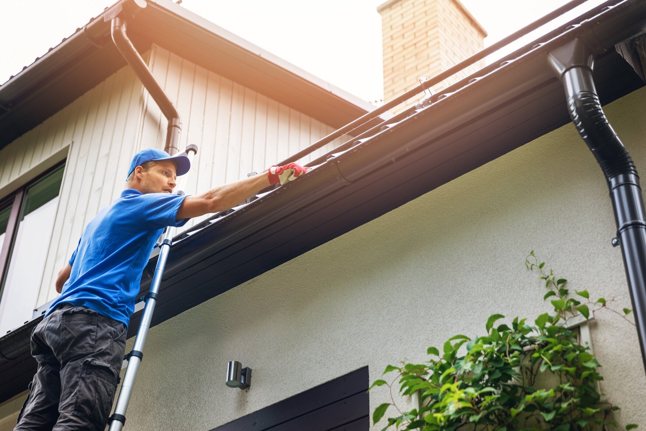 Roof and Gutter Damage