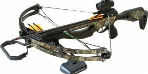 What Are The Features To Consider When Buying A Crossbow